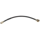 Purchase Top-Quality Front Brake Hose by RAYBESTOS - BH36828 pa7