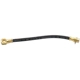 Purchase Top-Quality Front Brake Hose by RAYBESTOS - BH36844 pa2