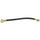 Purchase Top-Quality Front Brake Hose by RAYBESTOS - BH36844 pa3