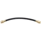 Purchase Top-Quality Front Brake Hose by RAYBESTOS - BH36892 pa2