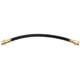 Purchase Top-Quality Front Brake Hose by RAYBESTOS - BH36892 pa6