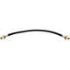 Purchase Top-Quality Front Brake Hose by RAYBESTOS - BH36967 pa2