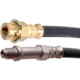 Purchase Top-Quality Front Brake Hose by RAYBESTOS - BH380000 pa15