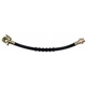 Purchase Top-Quality Front Brake Hose by RAYBESTOS - BH380041 pa1