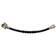 Purchase Top-Quality Front Brake Hose by RAYBESTOS - BH380041 pa2