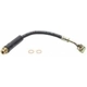 Purchase Top-Quality Front Brake Hose by RAYBESTOS - BH380049 pa1