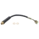 Purchase Top-Quality Front Brake Hose by RAYBESTOS - BH380049 pa4