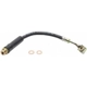 Purchase Top-Quality Front Brake Hose by RAYBESTOS - BH380049 pa6