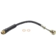 Purchase Top-Quality Front Brake Hose by RAYBESTOS - BH380052 pa2