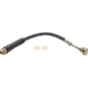 Purchase Top-Quality Front Brake Hose by RAYBESTOS - BH380052 pa4