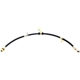 Purchase Top-Quality Front Brake Hose by RAYBESTOS - BH380055 pa12