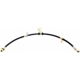 Purchase Top-Quality Front Brake Hose by RAYBESTOS - BH380055 pa9