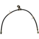 Purchase Top-Quality Front Brake Hose by RAYBESTOS - BH380056 pa4