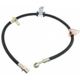 Purchase Top-Quality Front Brake Hose by RAYBESTOS - BH380057 pa1