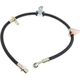 Purchase Top-Quality Front Brake Hose by RAYBESTOS - BH380057 pa2