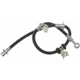 Purchase Top-Quality Front Brake Hose by RAYBESTOS - BH380059 pa11