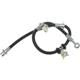 Purchase Top-Quality Front Brake Hose by RAYBESTOS - BH380059 pa14