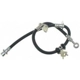 Purchase Top-Quality Front Brake Hose by RAYBESTOS - BH380059 pa2