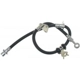 Purchase Top-Quality Front Brake Hose by RAYBESTOS - BH380059 pa7