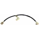 Purchase Top-Quality Front Brake Hose by RAYBESTOS - BH380073 pa10
