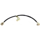 Purchase Top-Quality Front Brake Hose by RAYBESTOS - BH380073 pa8