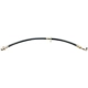 Purchase Top-Quality Front Brake Hose by RAYBESTOS - BH380087 pa2
