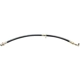 Purchase Top-Quality Front Brake Hose by RAYBESTOS - BH380087 pa4