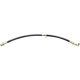 Purchase Top-Quality Front Brake Hose by RAYBESTOS - BH380087 pa9