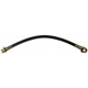 Purchase Top-Quality Front Brake Hose by RAYBESTOS - BH380095 pa2