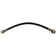Purchase Top-Quality Front Brake Hose by RAYBESTOS - BH380095 pa4