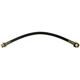 Purchase Top-Quality Front Brake Hose by RAYBESTOS - BH380095 pa9