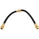 Purchase Top-Quality Front Brake Hose by RAYBESTOS - BH380126 pa2