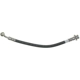 Purchase Top-Quality RAYBESTOS - BH380171 - Front Brake Hose pa4