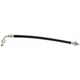 Purchase Top-Quality Front Brake Hose by RAYBESTOS - BH380234 pa2