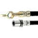 Purchase Top-Quality Front Brake Hose by RAYBESTOS - BH380237 pa1