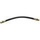 Purchase Top-Quality Front Brake Hose by RAYBESTOS - BH38025 pa1