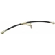 Purchase Top-Quality Front Brake Hose by RAYBESTOS - BH380261 pa13