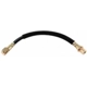 Purchase Top-Quality RAYBESTOS - BH380280 - Front Brake Hose pa12