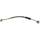 Purchase Top-Quality Front Brake Hose by RAYBESTOS - BH380310 pa1