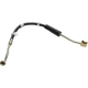 Purchase Top-Quality Front Brake Hose by RAYBESTOS - BH380317 pa2