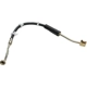 Purchase Top-Quality Front Brake Hose by RAYBESTOS - BH380317 pa3