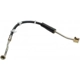 Purchase Top-Quality Front Brake Hose by RAYBESTOS - BH380317 pa6