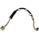 Purchase Top-Quality Front Brake Hose by RAYBESTOS - BH380318 pa10