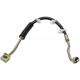 Purchase Top-Quality Front Brake Hose by RAYBESTOS - BH380318 pa14