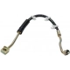 Purchase Top-Quality Front Brake Hose by RAYBESTOS - BH380318 pa15