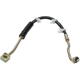 Purchase Top-Quality Front Brake Hose by RAYBESTOS - BH380318 pa9