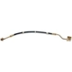Purchase Top-Quality Front Brake Hose by RAYBESTOS - BH380319 pa2