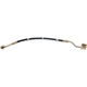 Purchase Top-Quality Front Brake Hose by RAYBESTOS - BH380319 pa4