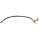 Purchase Top-Quality Front Brake Hose by RAYBESTOS - BH380340 pa4