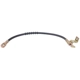 Purchase Top-Quality Front Brake Hose by RAYBESTOS - BH380340 pa7